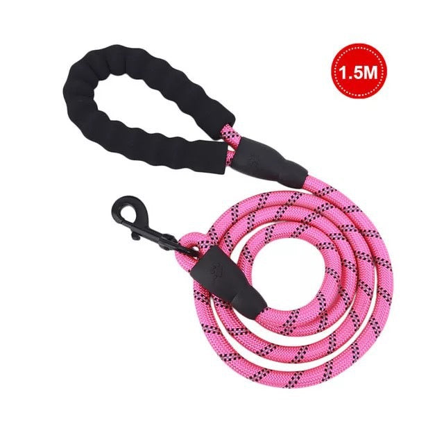 Small Medium Sized Pet Dog Luminous Leash Chain Puppies - Pets Crazy Shops