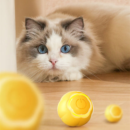 Pet Smart Rolling Ball Cat Toy Bite-resistant Boredom Relief - Pets Crazy Shops