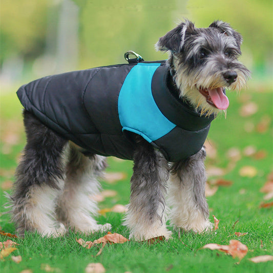 Winter Warm Pet Dog Clothes Thicken Pullover For Small Large Dogs Sweatshirt Puppy Down Jacket French For Dog Clothes - Pets Crazy Shops