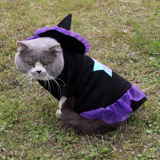 Christmas Wizard Pet Halloween Dog Clothes Pet Clothes  -  - Pets Crazy Shops -