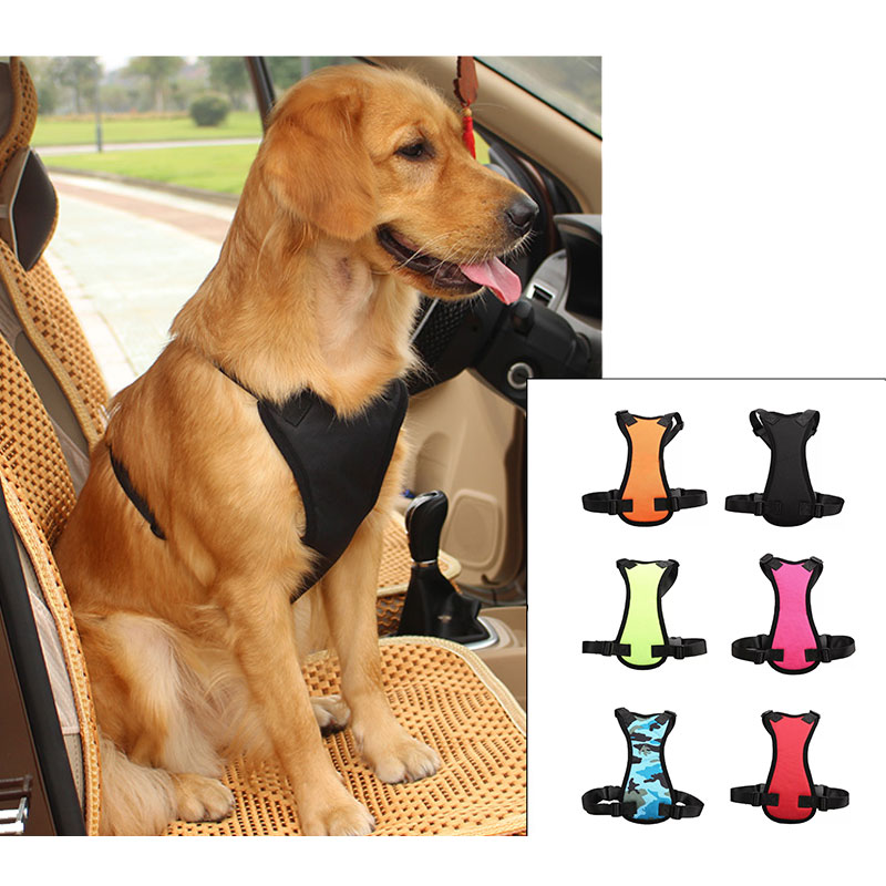 Car seat belts for pets - Pets Crazy Shops