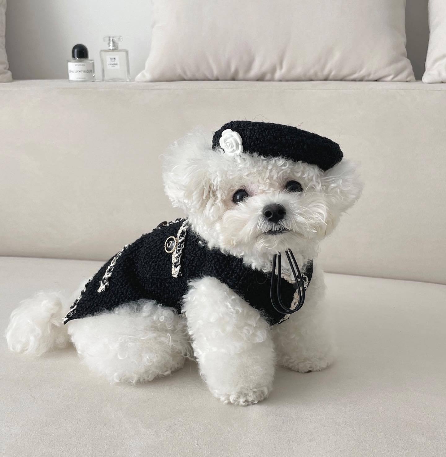 Pet Dog Cat Accessories Knitted Hat - Pets Crazy Shops