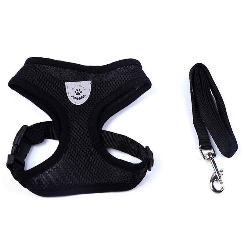 Pet Car Seat Belt Pet Leash - Pets Crazy Shops