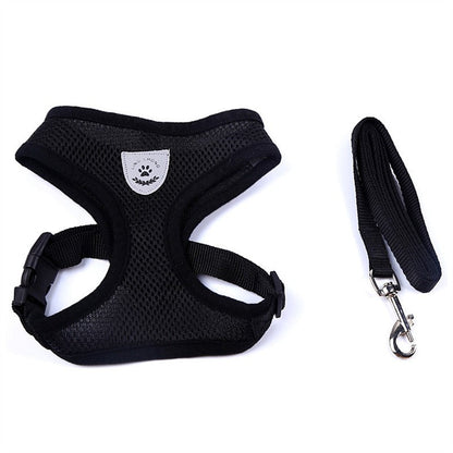 Pet Car Seat Belt Pet Leash - Pets Crazy Shops