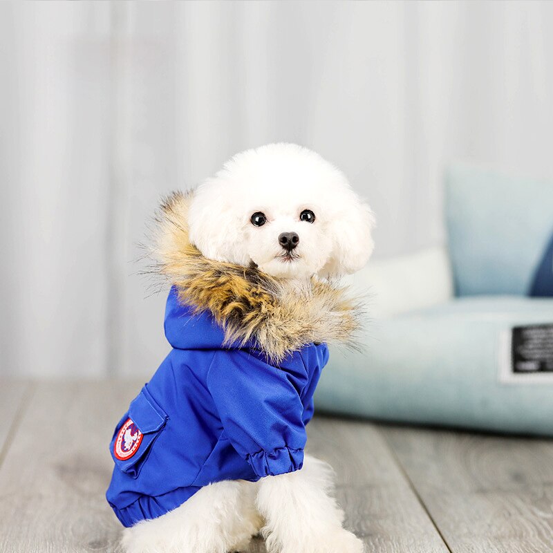 Pet dog clothes wool hat clothes cotton clothes - Pets Crazy Shops