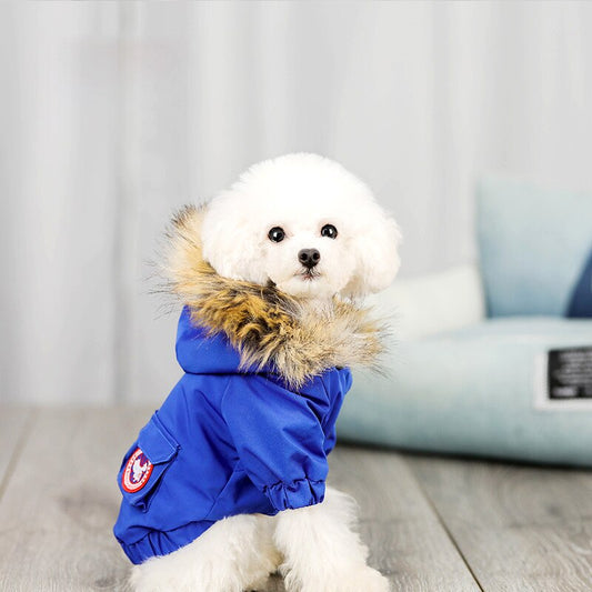 Pet dog clothes wool hat clothes cotton clothes - Pets Crazy Shops