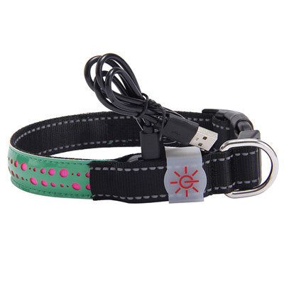 LED light collar pet collar - Pets Crazy Shops