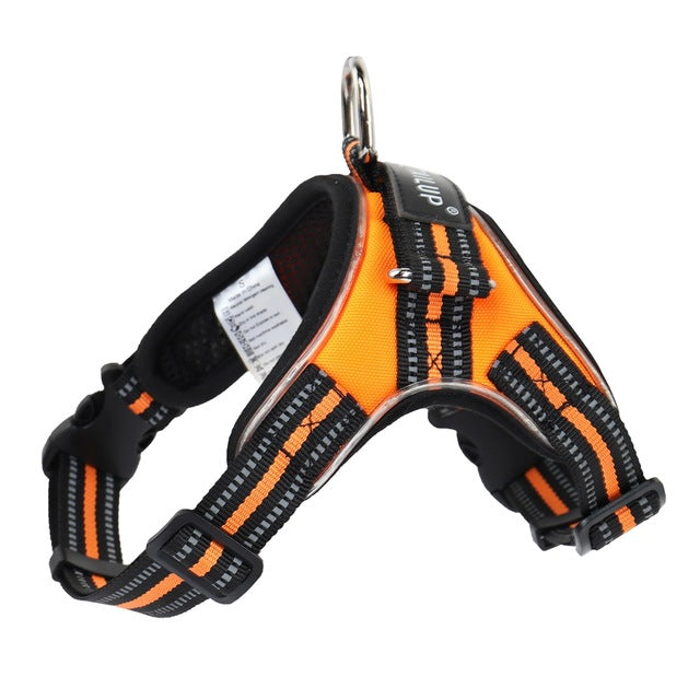 Glowing dog collar - Pets Crazy Shops
