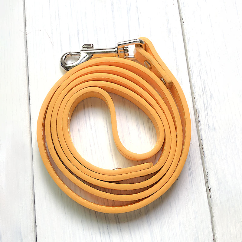 Pet leash collar - Pets Crazy Shops