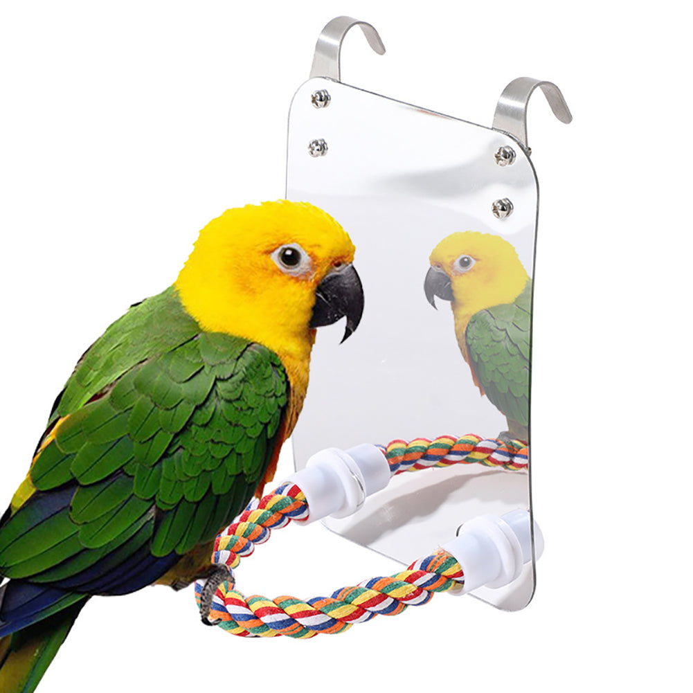 Parrot Toy Acrylic Bird With Mirror - Pets Crazy Shops
