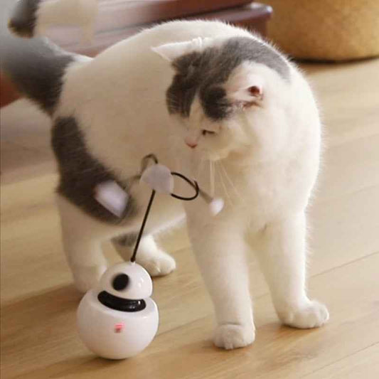 Electric cat toy funny cat toy  -  - Pets Crazy Shops -
