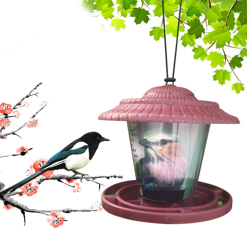 Plastic transparent bird feeder - Pets Crazy Shops