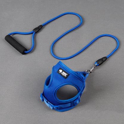 Dog leash dog leash dog collar - Pets Crazy Shops