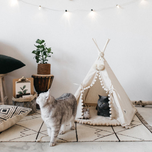 Pet Tent Bed - Pets Crazy Shops