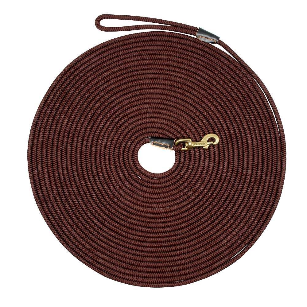 Dog training belt - Pets Crazy Shops