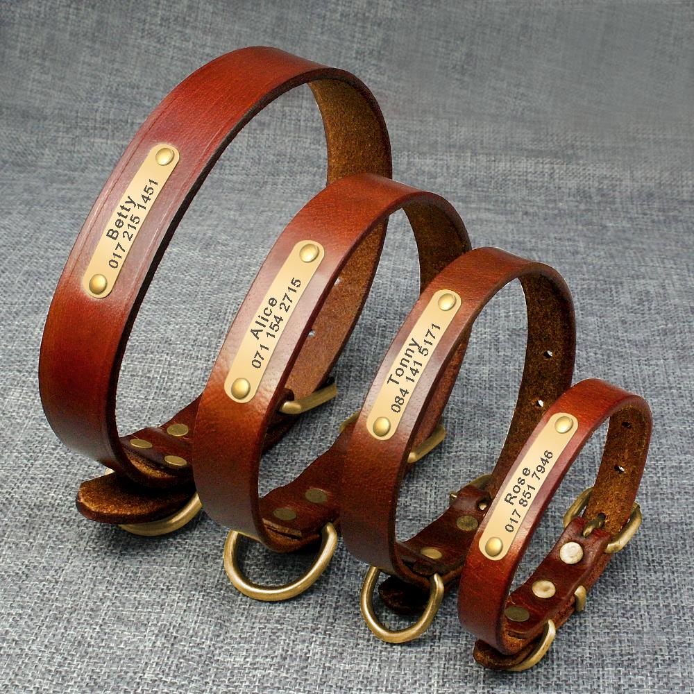 Dog Collar Pet Collar Custom - Pets Crazy Shops