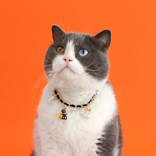 Pet Halloween Collar Velvet Dripping Bat Accessories - Pets Crazy Shops