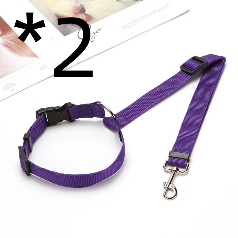 Explosive Pet Car Rear Seat Ring Safety Rope - Pets Crazy Shops