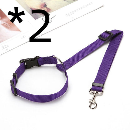 Explosive Pet Car Rear Seat Ring Safety Rope - Pets Crazy Shops