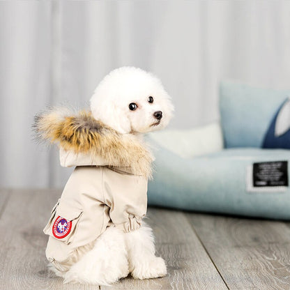 Pet dog clothes wool hat clothes cotton clothes - Pets Crazy Shops