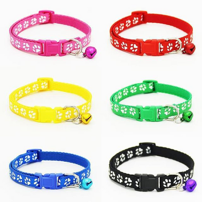 The pet cat wears a bell collar - Pets Crazy Shops