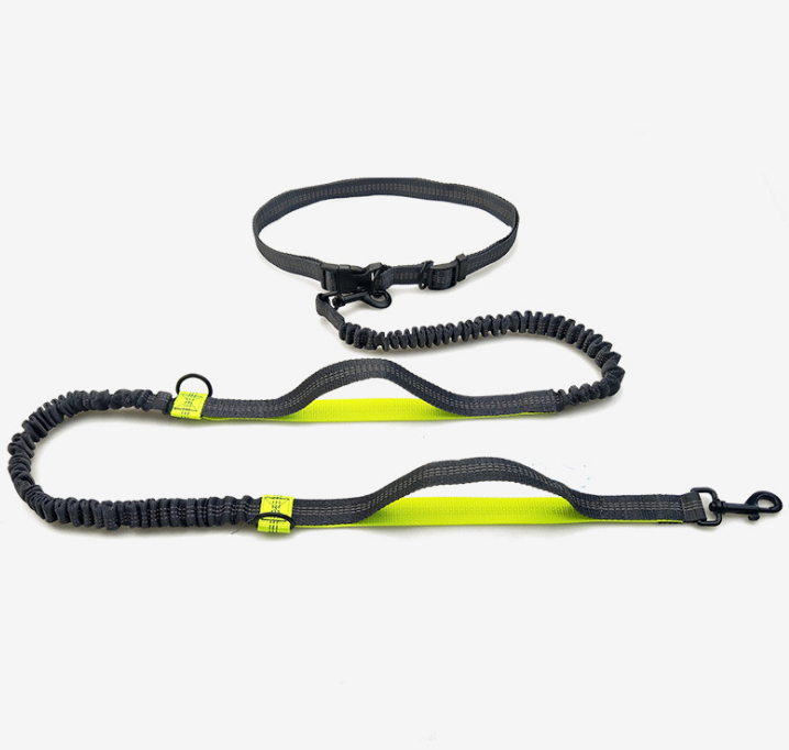 Amazon direct pet supplies multi-function running reflective pull dog leash double elastic dog leash traction - Pets Crazy Shops