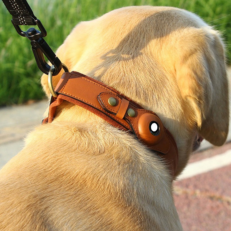 Location Tracker First Layer Leather Dog Pet Collar - Pets Crazy Shops