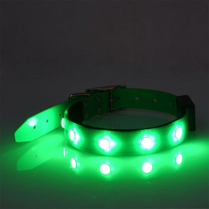 Luminous Waterproof Collar Adjustable Cat And Dog Collar - Pets Crazy Shops