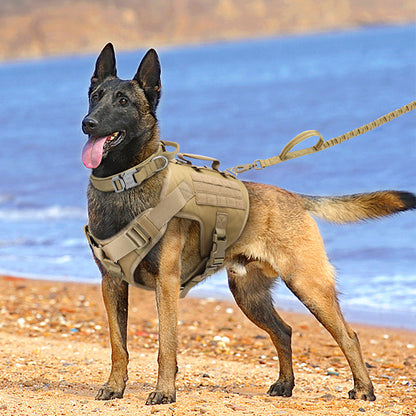 Tactics K9 Chest Harness Vest Type Dog Collar - Pets Crazy Shops