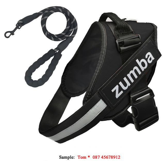 Personalized Reflective Breathable Adjustable Dog Harness and Leash Set - Pets Crazy Shops