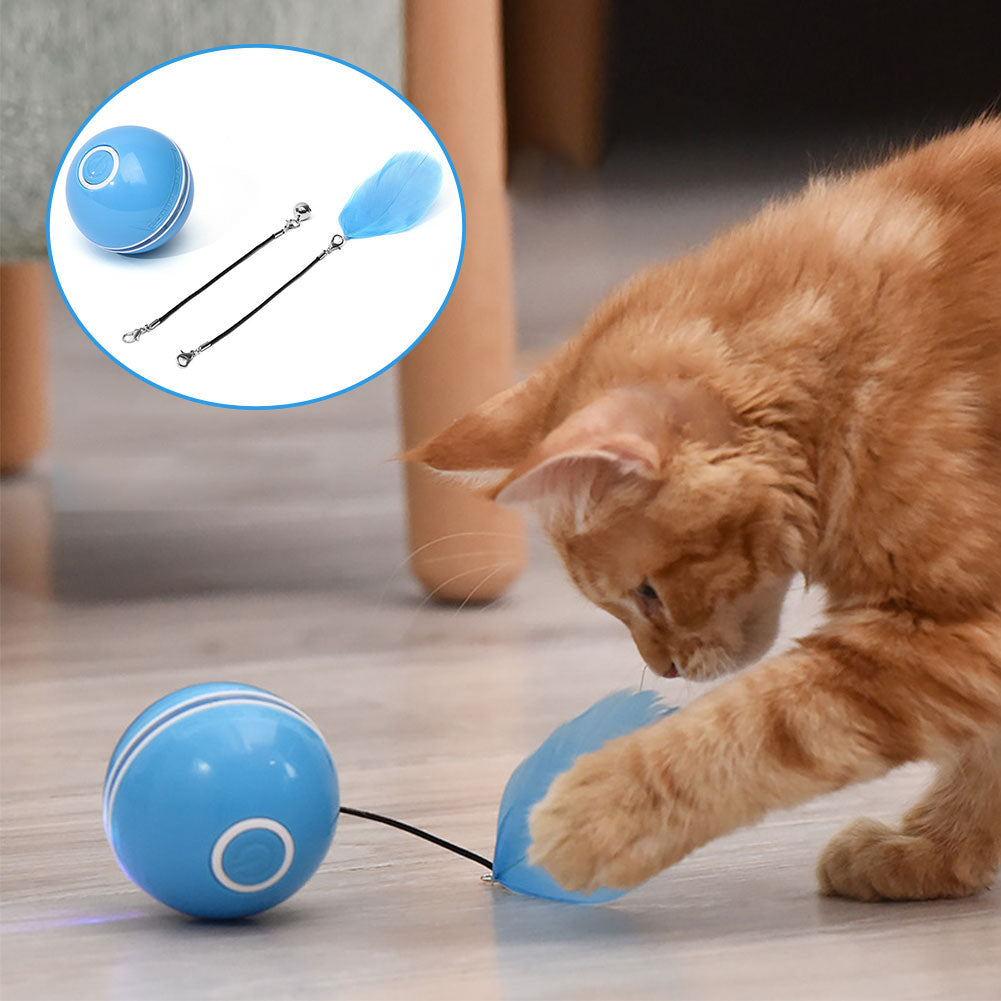 Colorful LED Laser Funny Cat Ball - Pets Crazy Shops