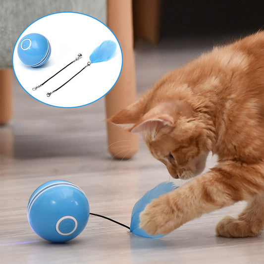 Colorful LED Laser Funny Cat Ball - Pets Crazy Shops