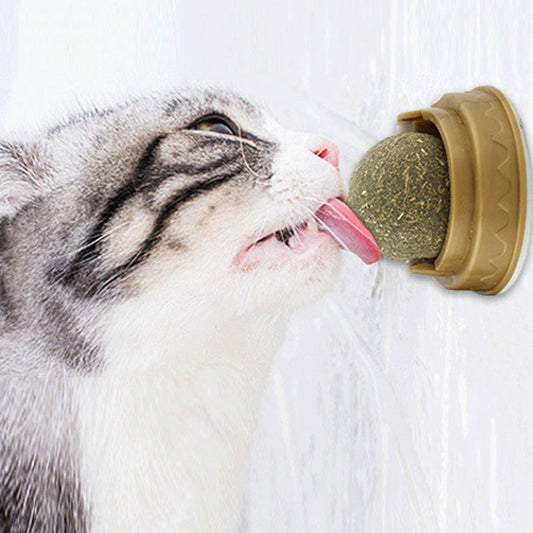 Catnip Balls Cat Treats Rotary Molar Teeth Cleaning - Pets Crazy Shops
