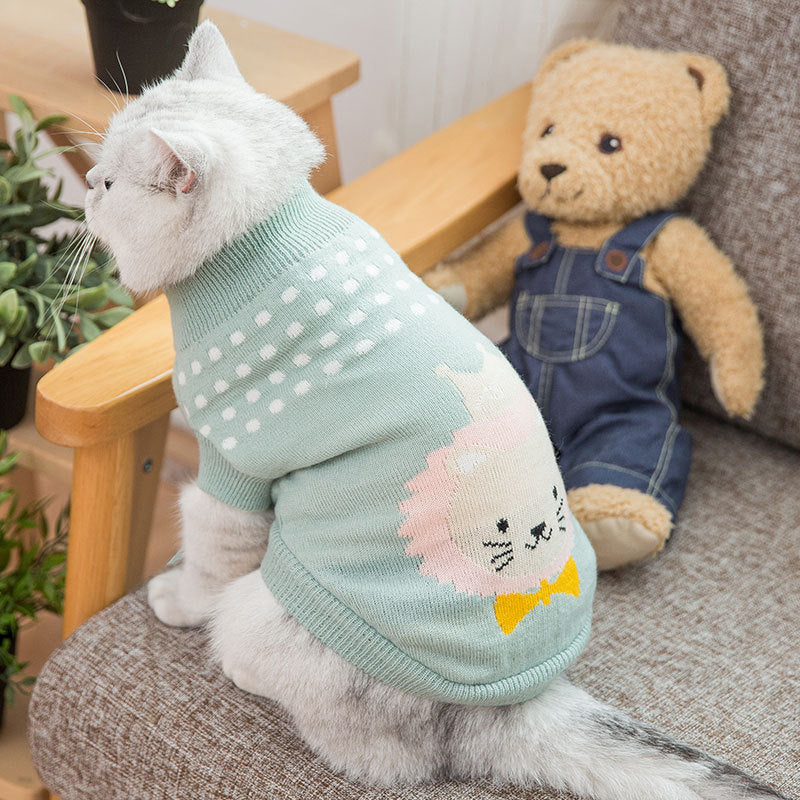 Dog clothes - Pets Crazy Shops