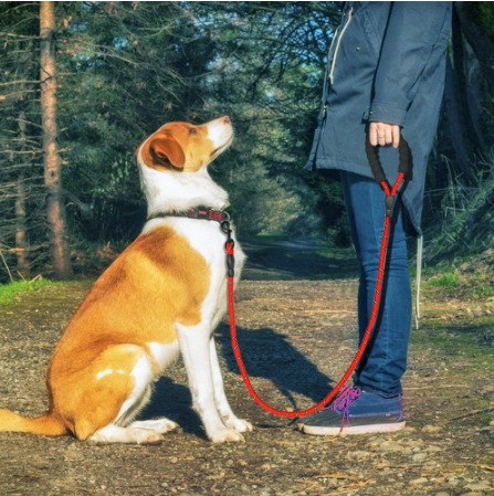 Reflective Dog Leash Nylon Pet Dog Leash Rope For Small Medium Large Dogs Walking Training Pet Suppiles - Pets Crazy Shops