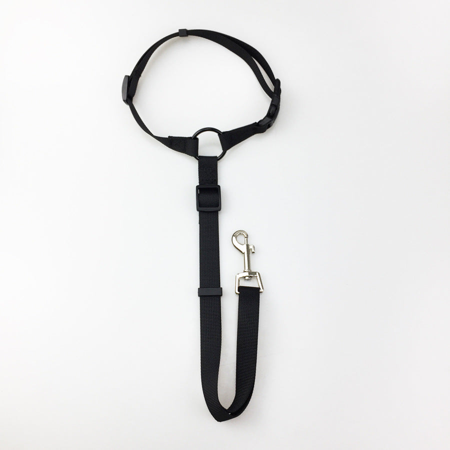 Pet safety leash - Pets Crazy Shops