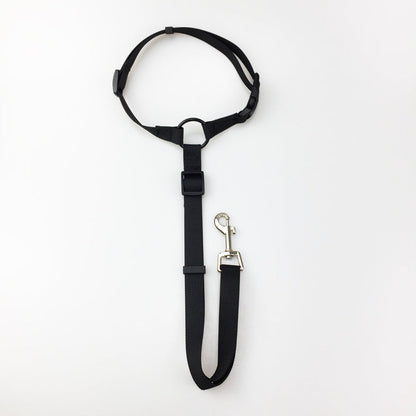 Pet safety leash - Pets Crazy Shops