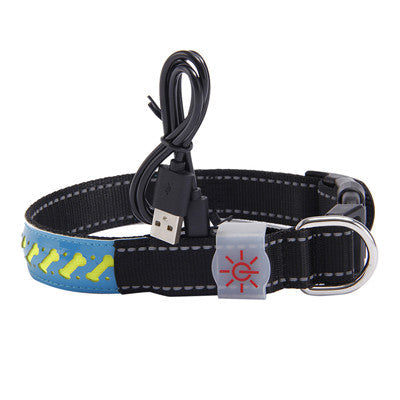 LED light collar pet collar - Pets Crazy Shops