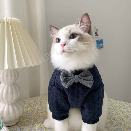 Warm And Cute Clothes For Pets Feet  -  - Pets Crazy Shops -