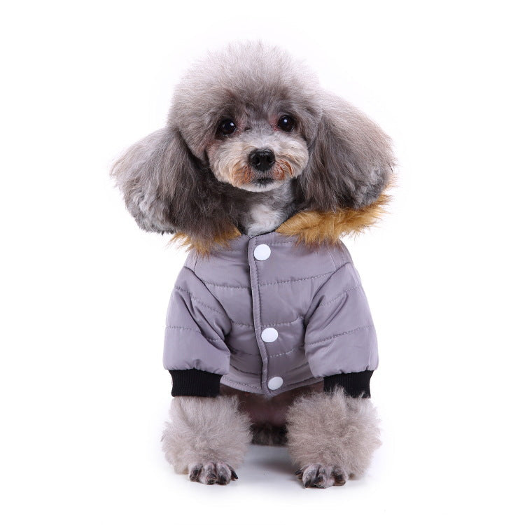 Winter clothing for pets - Pets Crazy Shops