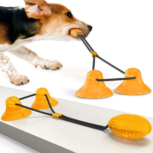 Suction Cup Pets Toys  -  - Pets Crazy Shops -