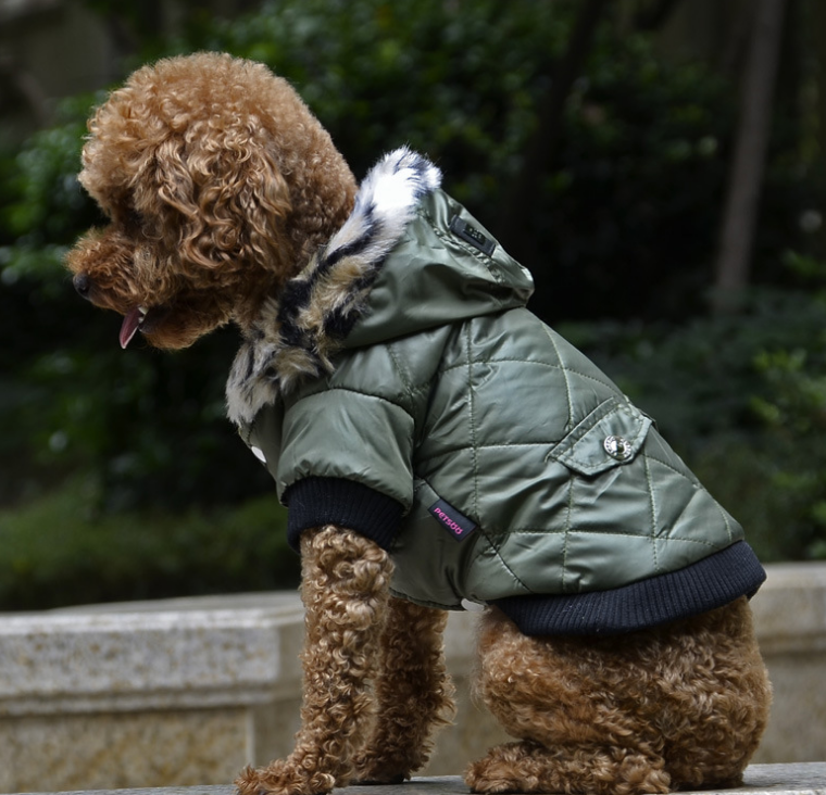 Cross-border pet supplies pet clothes dog clothes autumn and winter fur collar coat pet dog clothing - Pets Crazy Shops