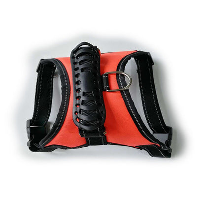 Dog leashes for pet leashes - Pets Crazy Shops