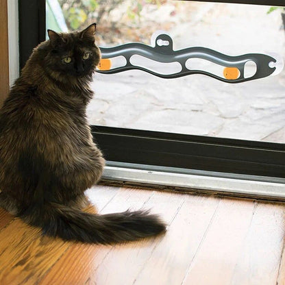 Windowsill Pets Toy Cat Track Ball Pet Products - Pets Crazy Shops