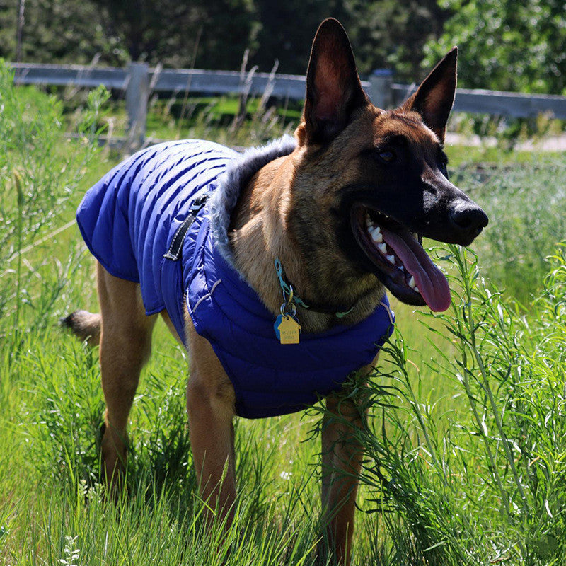 Dog Cotton Four Legged Clothing Casual Dog Clothing - Pets Crazy Shops