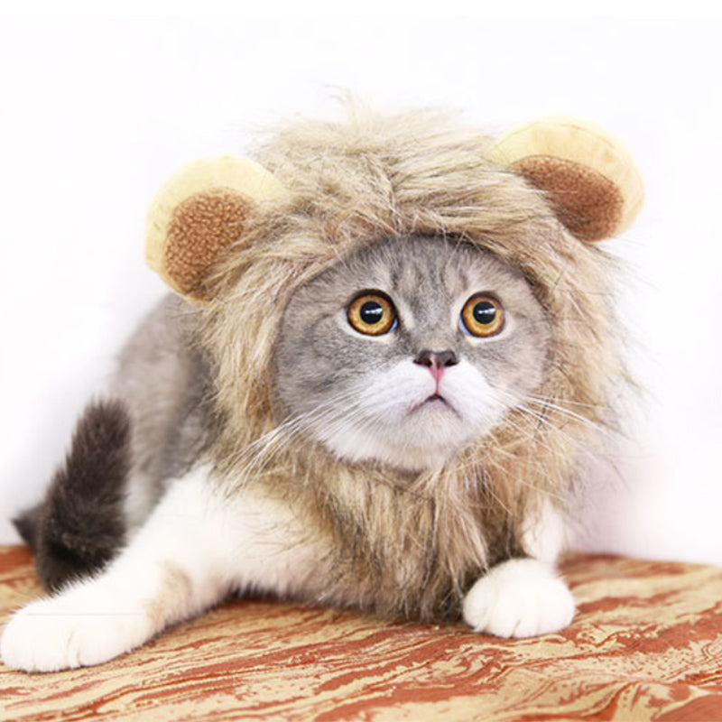 Funny Pet Hat For Small Dogs Cats Hat Emulation Lion Hair Mane Ears Head Cap Scarf Pet Halloween Festival Costume - Pets Crazy Shops