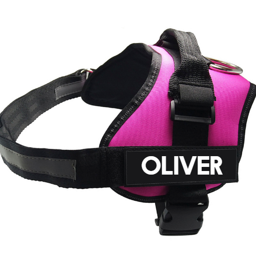 Pet Chest Harness Dog Leash Pet Supplies - Pets Crazy Shops