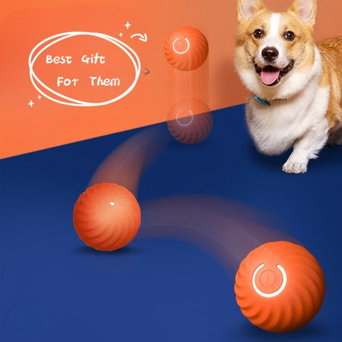 Pet Dog Rubber Ball Toys For Dogs Resistance To Bite Dog Chew Toys Puppy Pets Dogs Training Products - Pets Crazy Shops