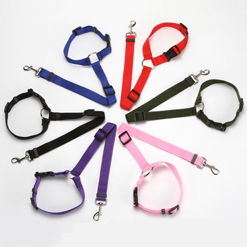 Explosive Pet Car Rear Seat Ring Safety Rope - Pets Crazy Shops