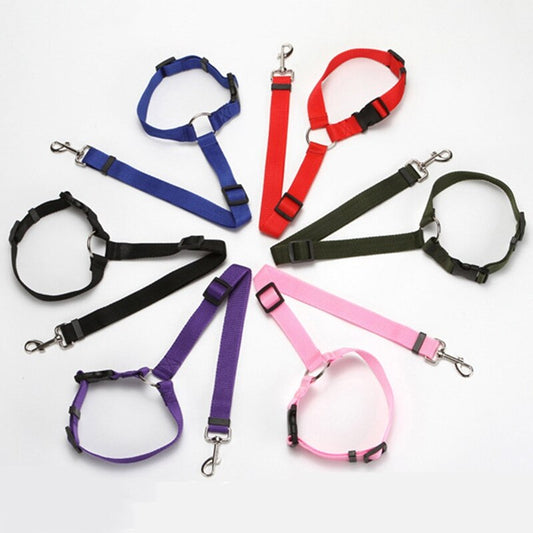 Explosive Pet Car Rear Seat Ring Safety Rope - Pets Crazy Shops